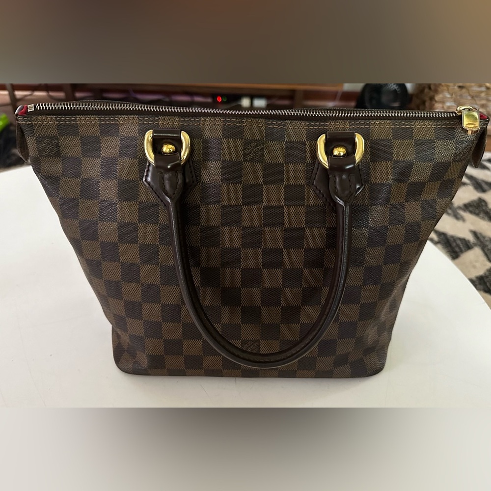 Louis Vuitton Damier Ebene Saleya PM Tote